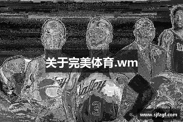 关于完美体育.wm